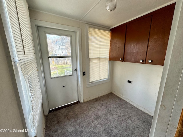 washroom featuring dark carpet