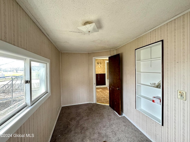 carpeted spare room with a textured ceiling and crown molding