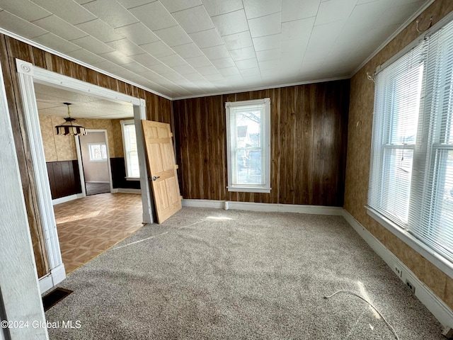 carpeted empty room featuring wood walls and a healthy amount of sunlight