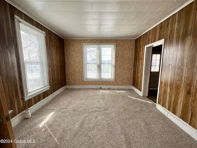 spare room featuring carpet flooring and wood walls