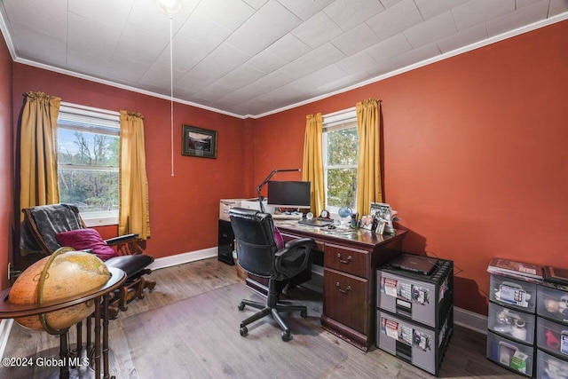 office featuring crown molding and hardwood / wood-style floors