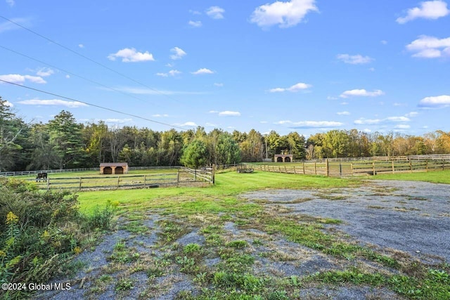 view of yard featuring a rural view