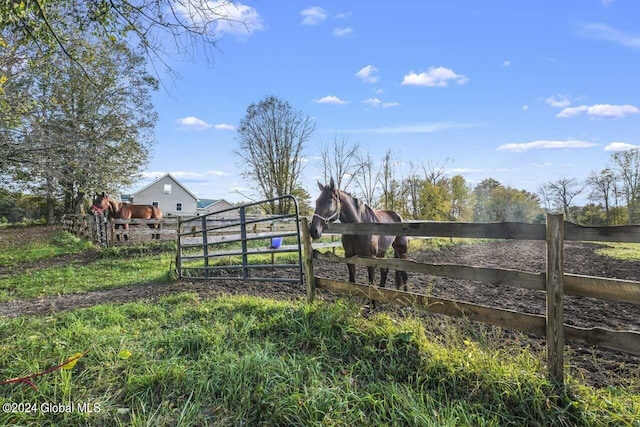 view of yard featuring a rural view