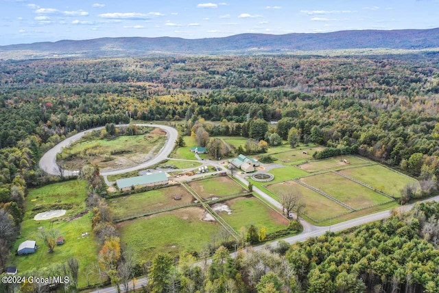 drone / aerial view featuring a mountain view