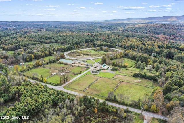 view of drone / aerial view