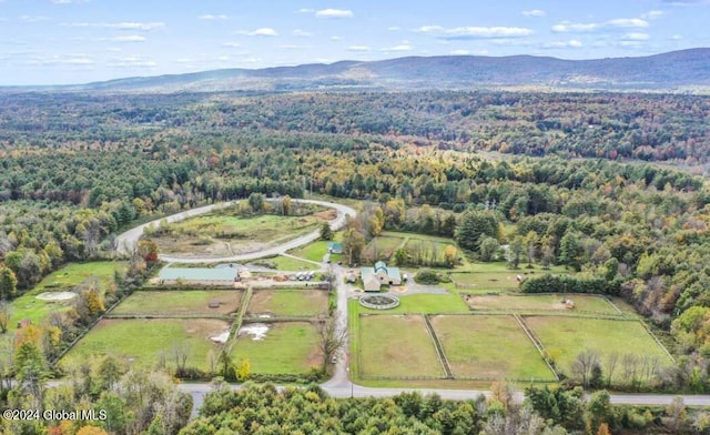 aerial view with a mountain view