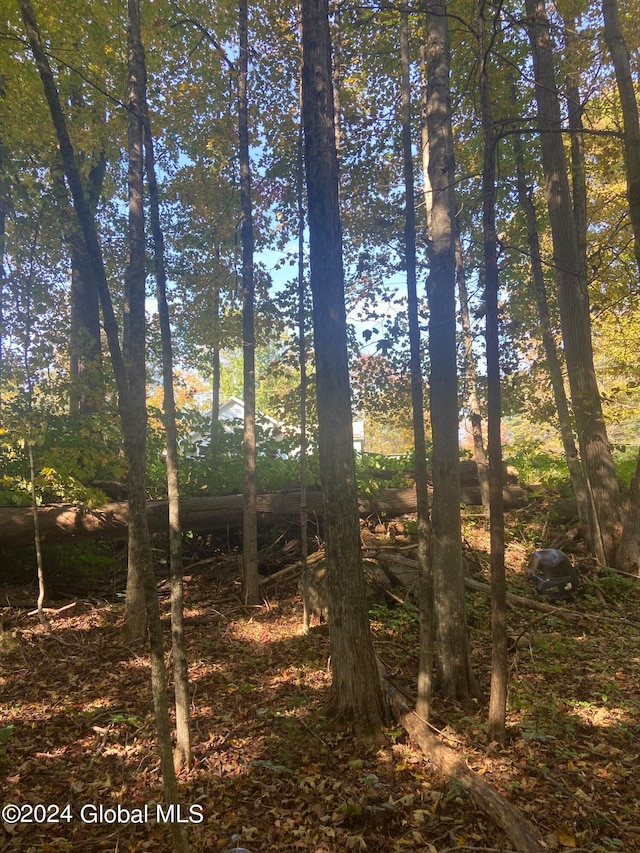 L34 Fox Hill Rd, Edinburg NY, 12134 land for sale