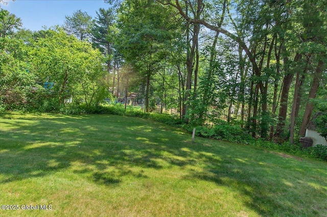 12 Lori Ln, Clifton Park, NY 12065 - view of grassy yard