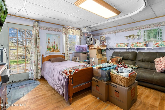 bedroom with a paneled ceiling, light hardwood / wood-style flooring, and multiple windows