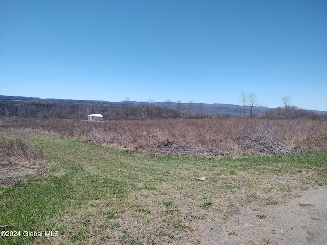 L13.2 Latimer Hill Rd, Canajoharie NY, 13317 land for sale