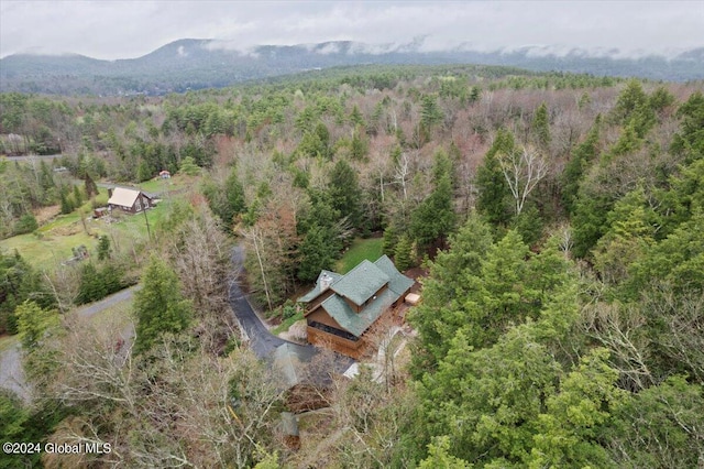 aerial view featuring a mountain view