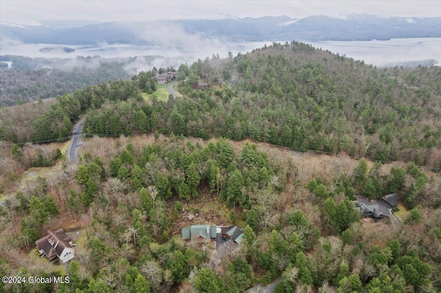 drone / aerial view with a water and mountain view