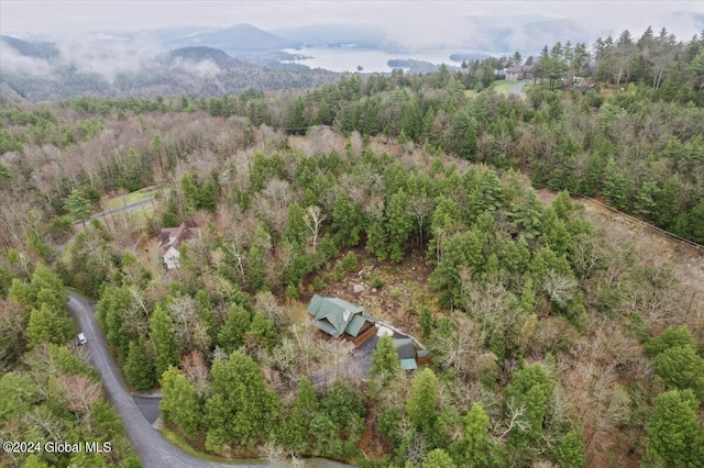 bird's eye view with a mountain view