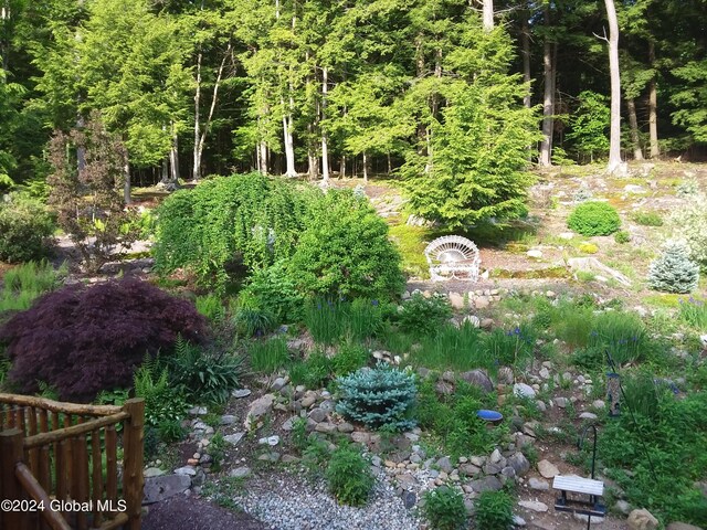 33 Deer Creek Rd, Bolton, NY 12824 - photo 48