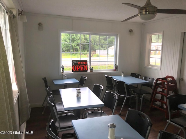 dining room featuring a wealth of natural light, dark hardwood / wood-style flooring, and ceiling fan