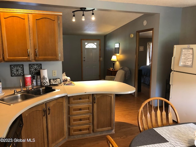 kitchen with dishwashing machine, white refrigerator, dark hardwood / wood-style flooring, sink, and track lighting