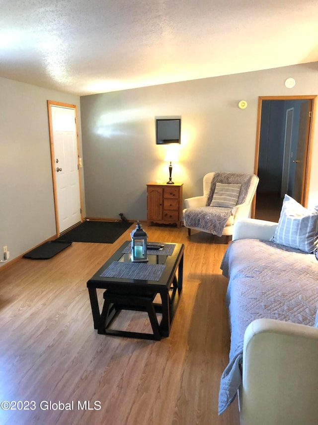 living room with hardwood / wood-style flooring