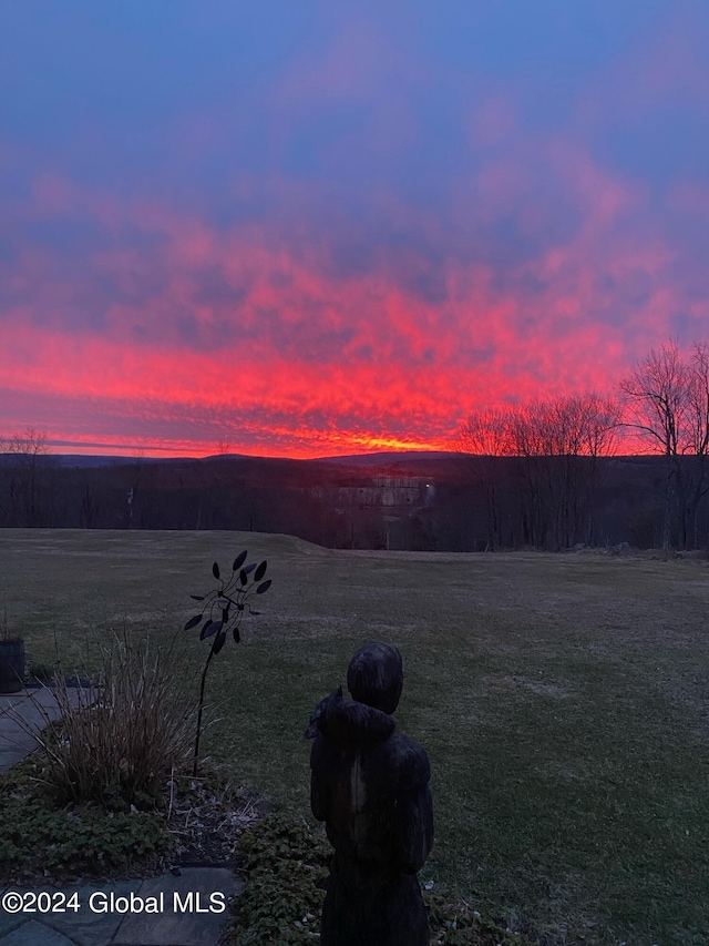 view of yard at dusk