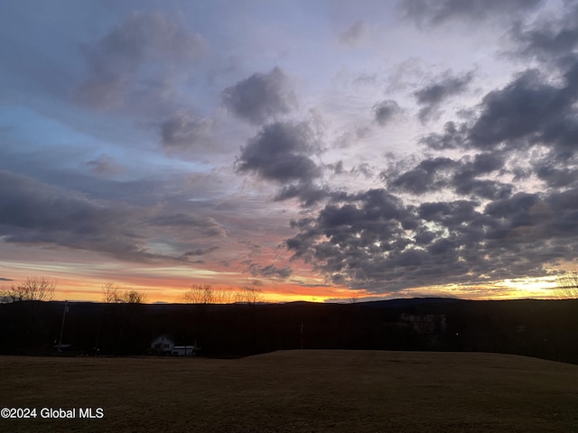 view of yard at dusk