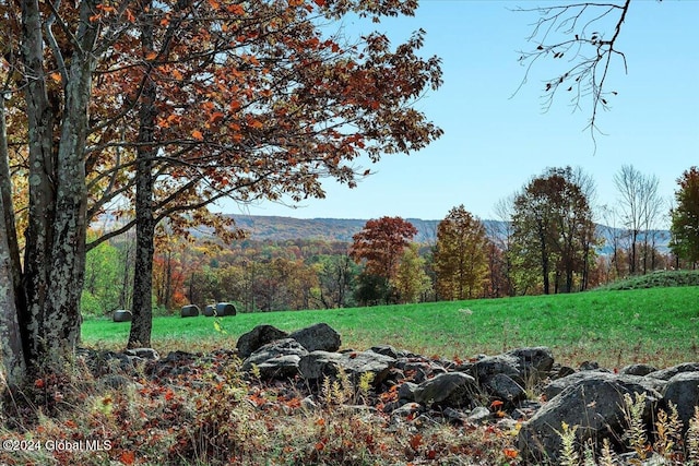 exterior space featuring a mountain view