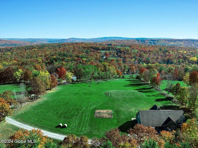 drone / aerial view