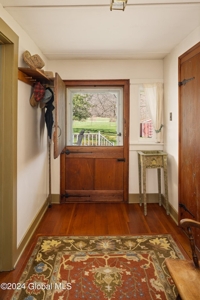 doorway with dark hardwood / wood-style floors