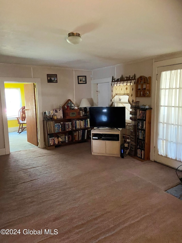 living room with plenty of natural light and carpet