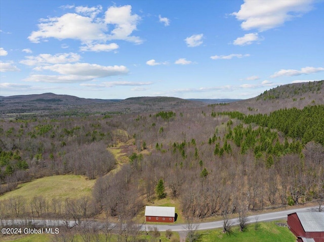 L3 Durham Rd, Conesville NY, 12076 land for sale