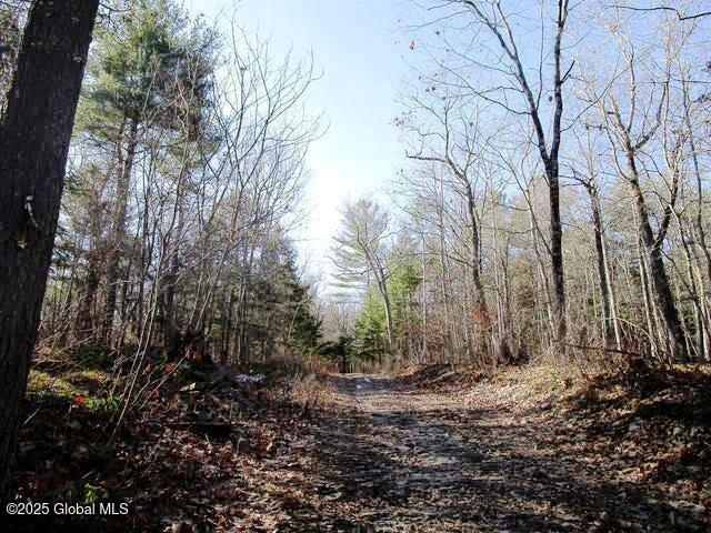 200 Beaver Ln, Fulton NY, 12071 land for sale