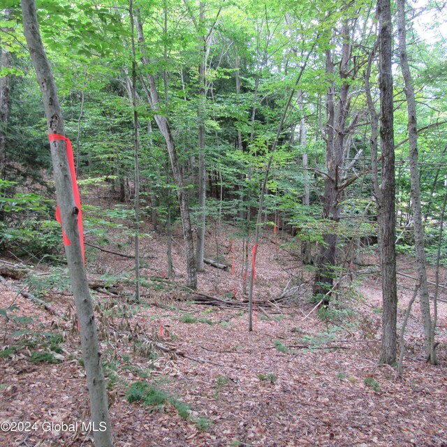 L16 Barker Rd, Edinburg, NY 12134 - photo 1