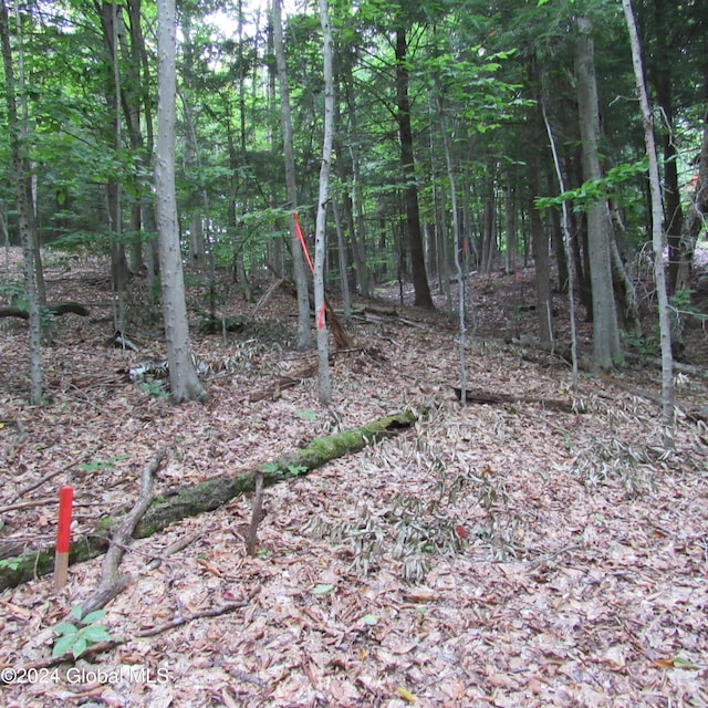 L16 Barker Rd, Edinburg, NY 12134 - photo 2