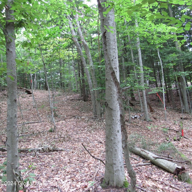 L16 Barker Rd, Edinburg, NY 12134 - photo 3