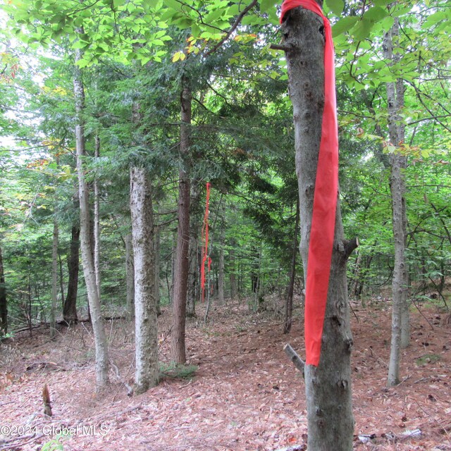 L16 Barker Rd, Edinburg, NY 12134 - photo 4