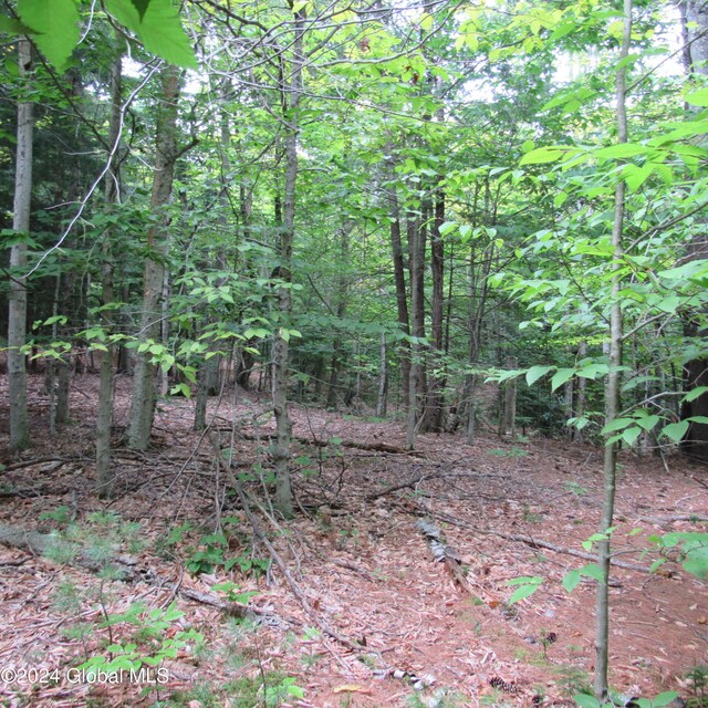 L16 Barker Rd, Edinburg, NY 12134 - photo 5