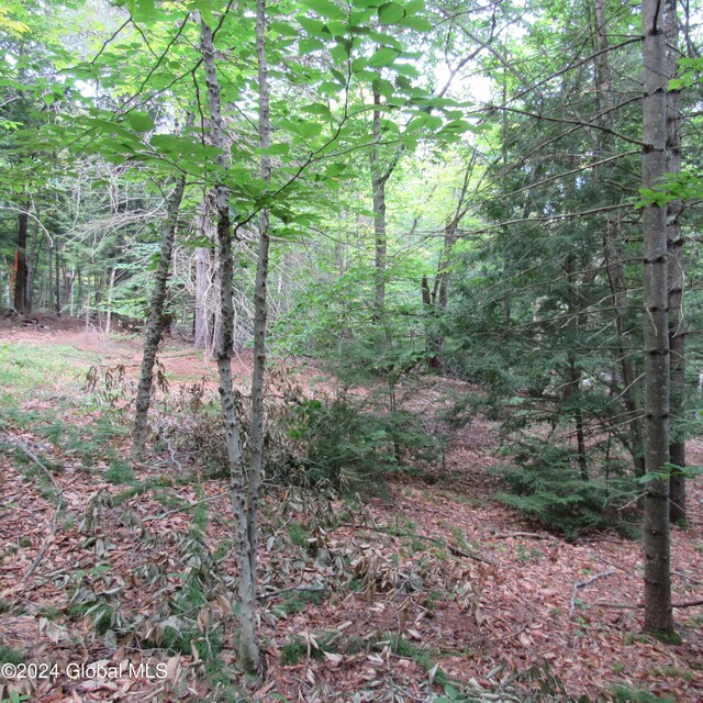 L16 Barker Rd, Edinburg, NY 12134 - photo 6