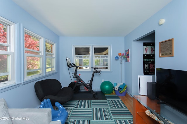 exercise room with hardwood / wood-style floors and a wealth of natural light