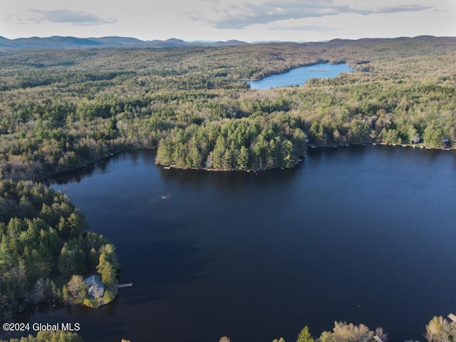 L29 Mountain Lake S Shore Rd, Johnstown NY, 12078 land for sale