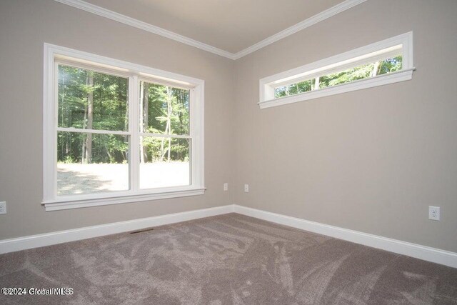 6 Killington Ln, Johnstown, NY 12095 - unfurnished room featuring crown molding, carpet, baseboards, and plenty of natural light