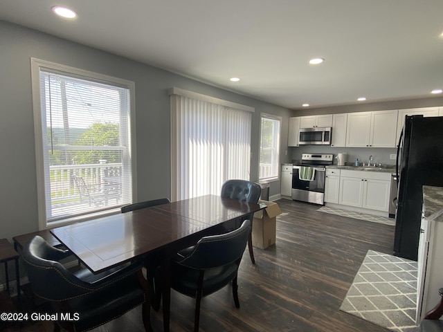 dining room with dark hardwood / wood-style flooring, sink, and plenty of natural light