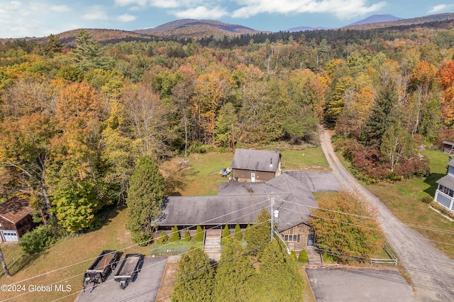 birds eye view of property featuring a mountain view