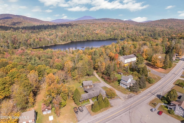 bird's eye view with a water and mountain view