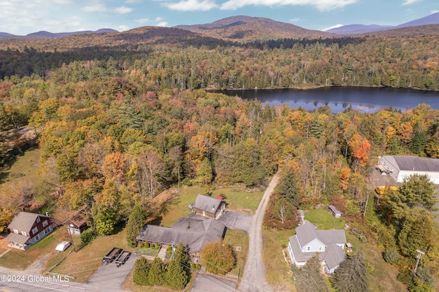 birds eye view of property featuring a water and mountain view