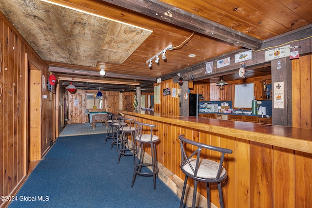 bar with carpet, rail lighting, and wooden walls