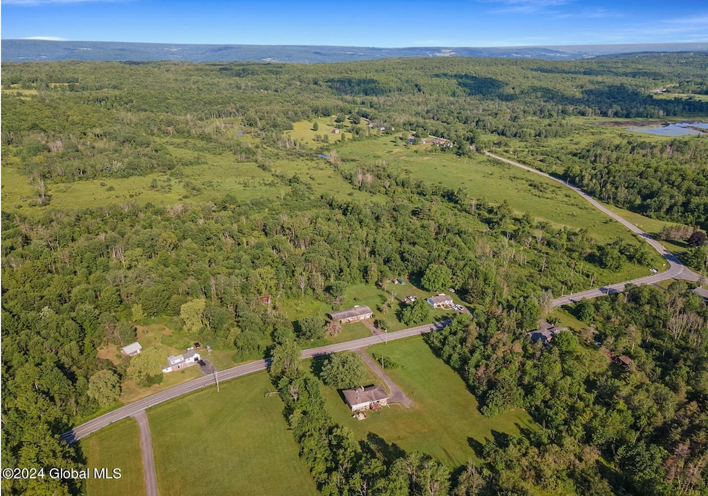 L8.111 Duanesburg Churches Rd, Duanesburg, NY 12053