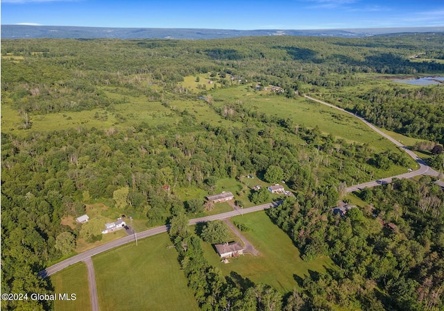 L8.111 Duanesburg Churches Rd, Duanesburg NY, 12053 land for sale