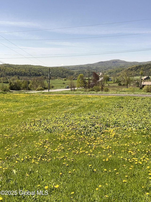 16603 State Route 22, Putnam, NY 12861 - view of yard featuring a view of countryside