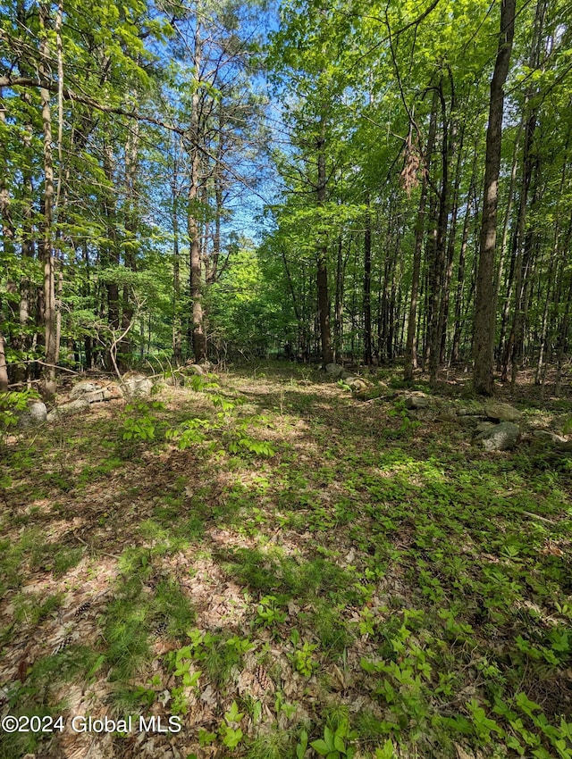 24 Tannery Ln, Hague NY, 12836 land for sale