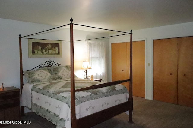 bedroom with carpet floors and multiple closets