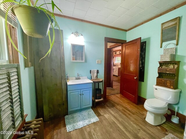 bathroom with ornamental molding, vanity with extensive cabinet space, hardwood / wood-style flooring, and toilet