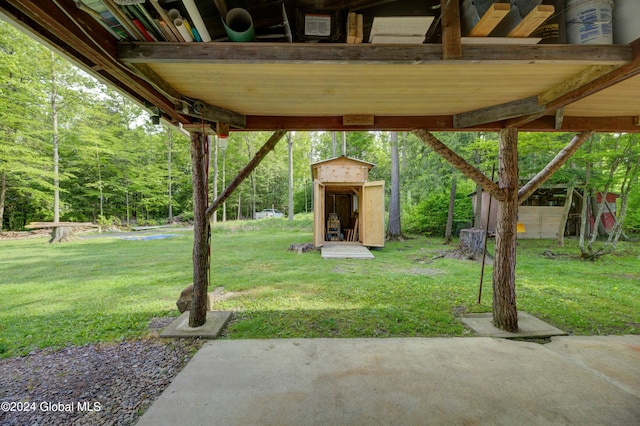 view of yard with a shed and a patio area